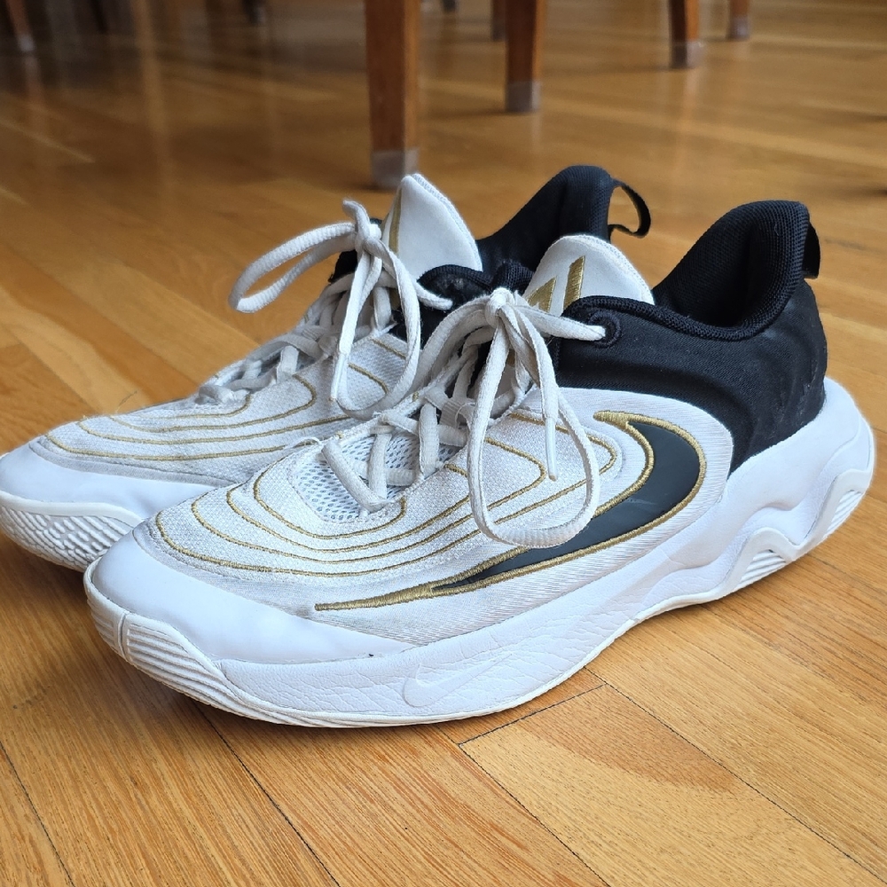 Nike Giannis Immortality 4 "Championship" Big Kids Basketball Sneakers Size 7Y